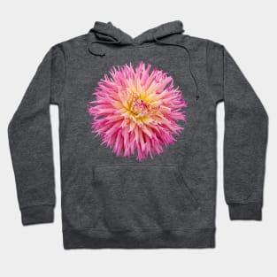 Hot Pink Dahlia Flower Hoodie